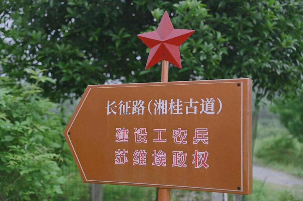 d2ff741203164cdcb6d88673f159d8af.jpg