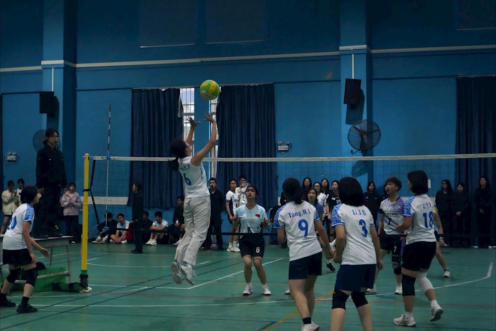 721fd03fb502414486477ce24620d27e.jpg