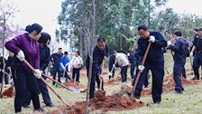 我处参加学校2026年春季师生义务植树活动