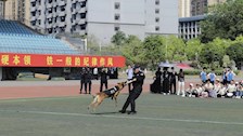 世界杯官网承办南宁市江南区群益小学研学活动