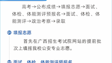 如何报考2026世界杯官网
